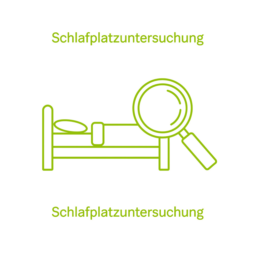 Schlafplatzuntersuchung